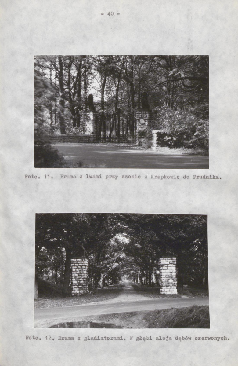 Ewidencja parkowa, skan nr 47