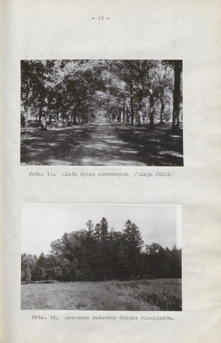 Ewidencja parkowa, skan nr 48