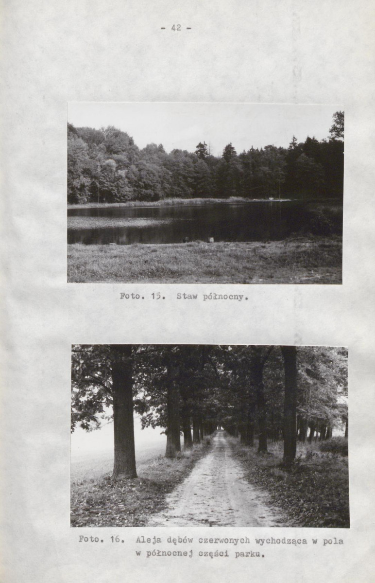 Ewidencja parkowa, skan nr 49