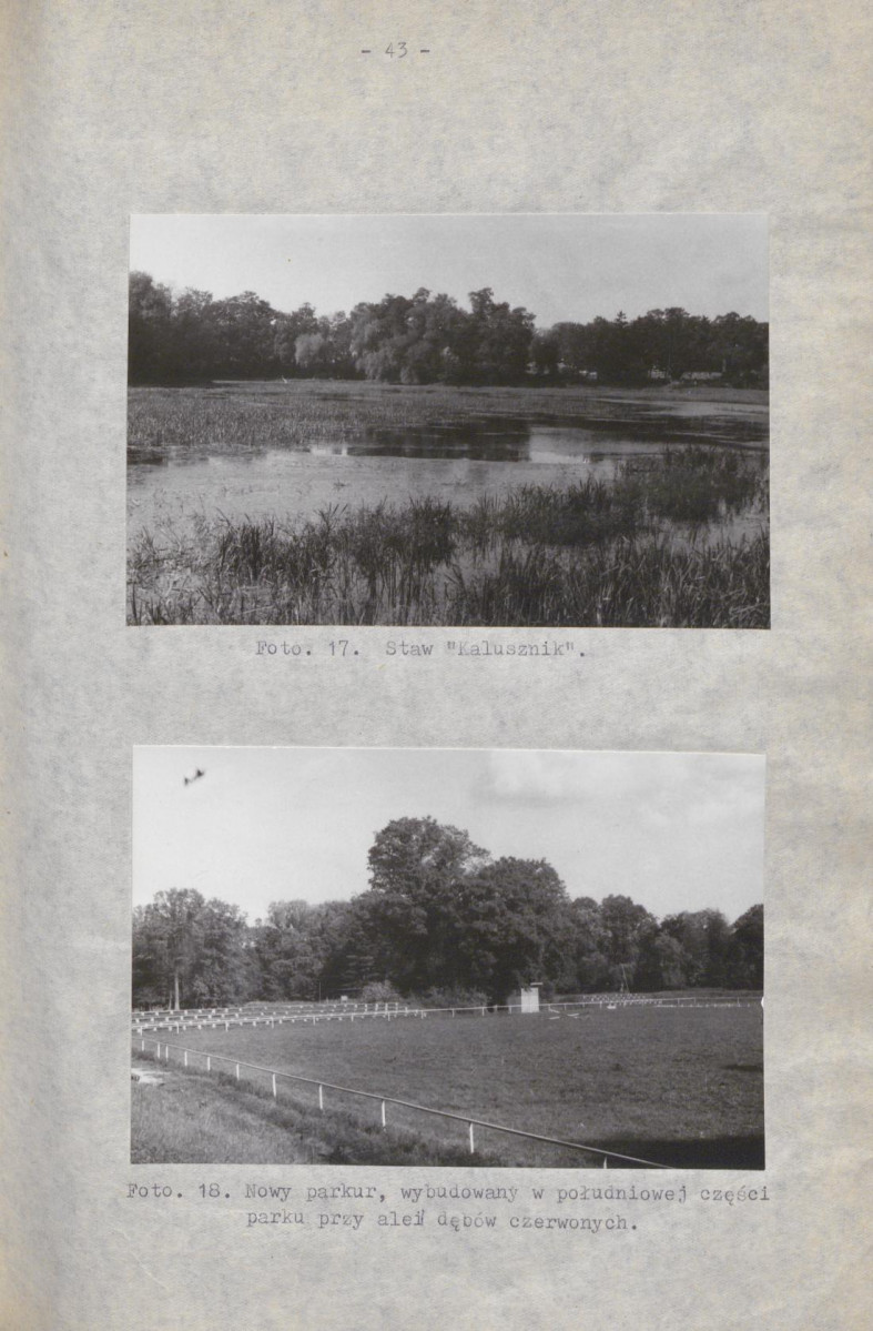 Ewidencja parkowa, skan nr 50