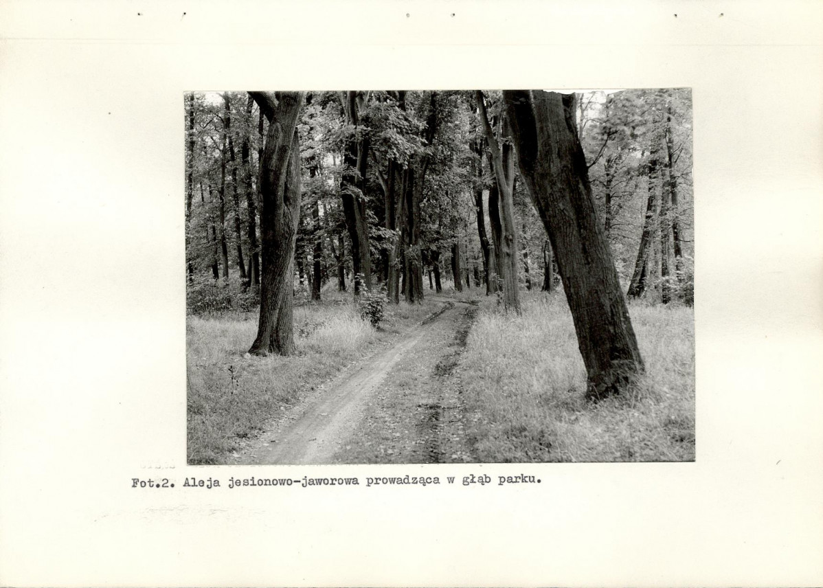 Ewidencja parkowa, skan nr 16