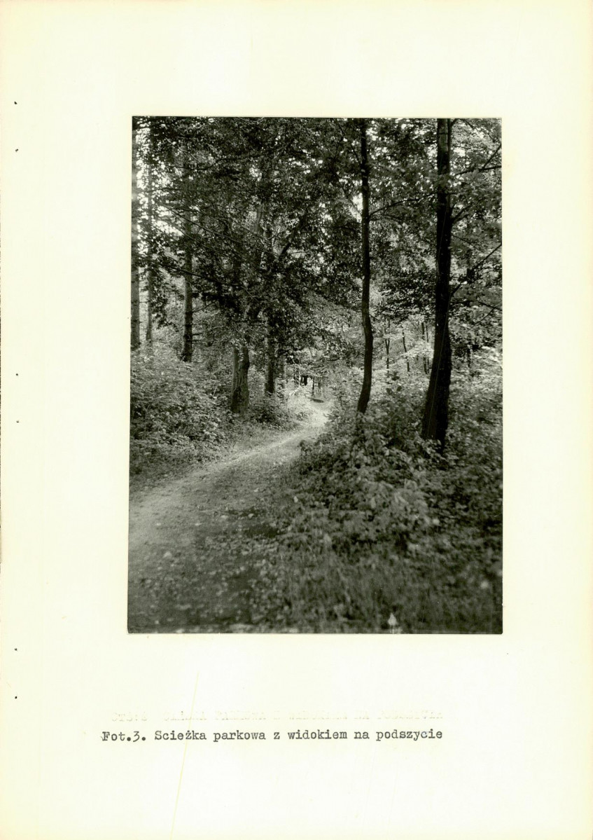 Ewidencja parkowa, skan nr 17