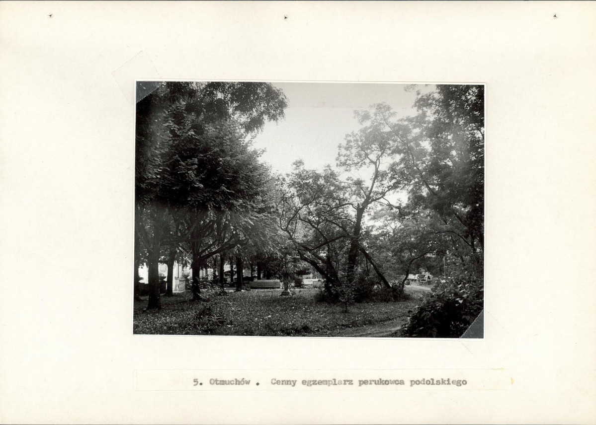 EP - Ewidencja parkowa, skan nr 26