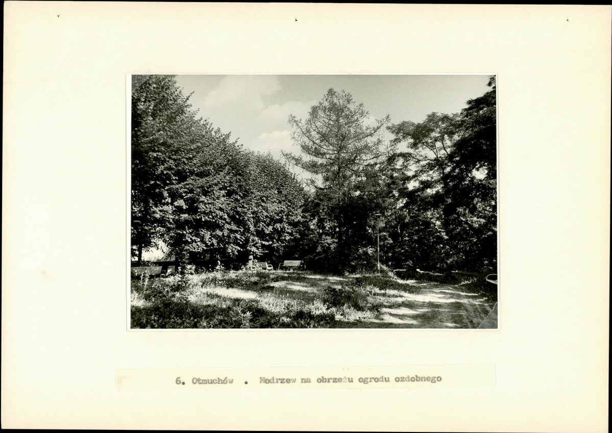 EP - Ewidencja parkowa, skan nr 27