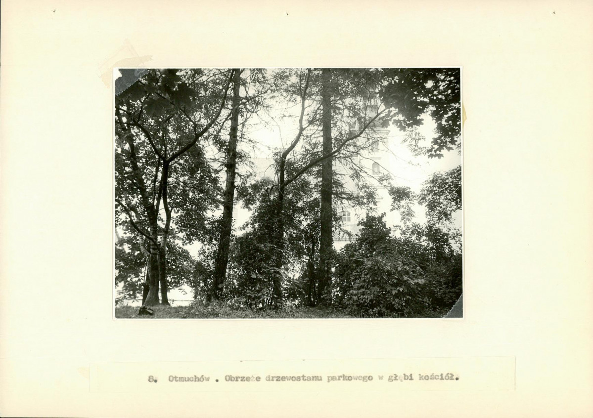 EP - Ewidencja parkowa, skan nr 29