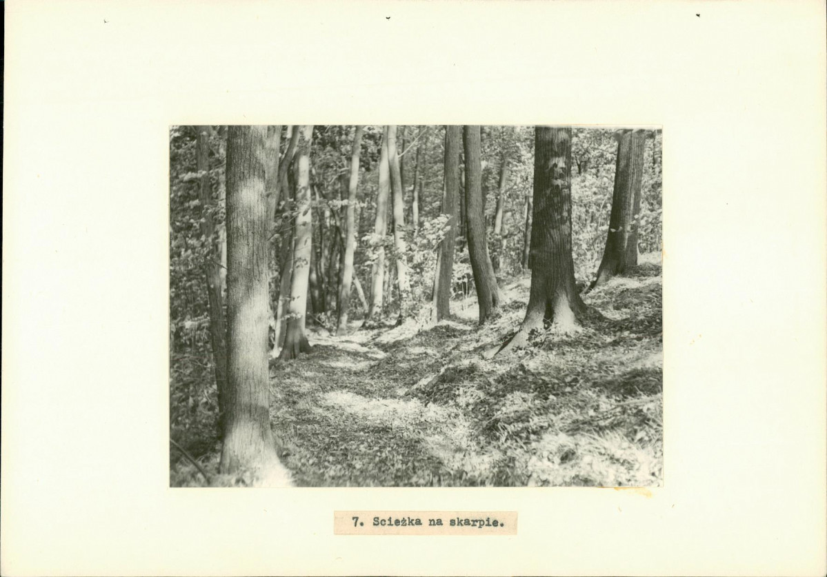 EP - Ewidencja parkowa, skan nr 22
