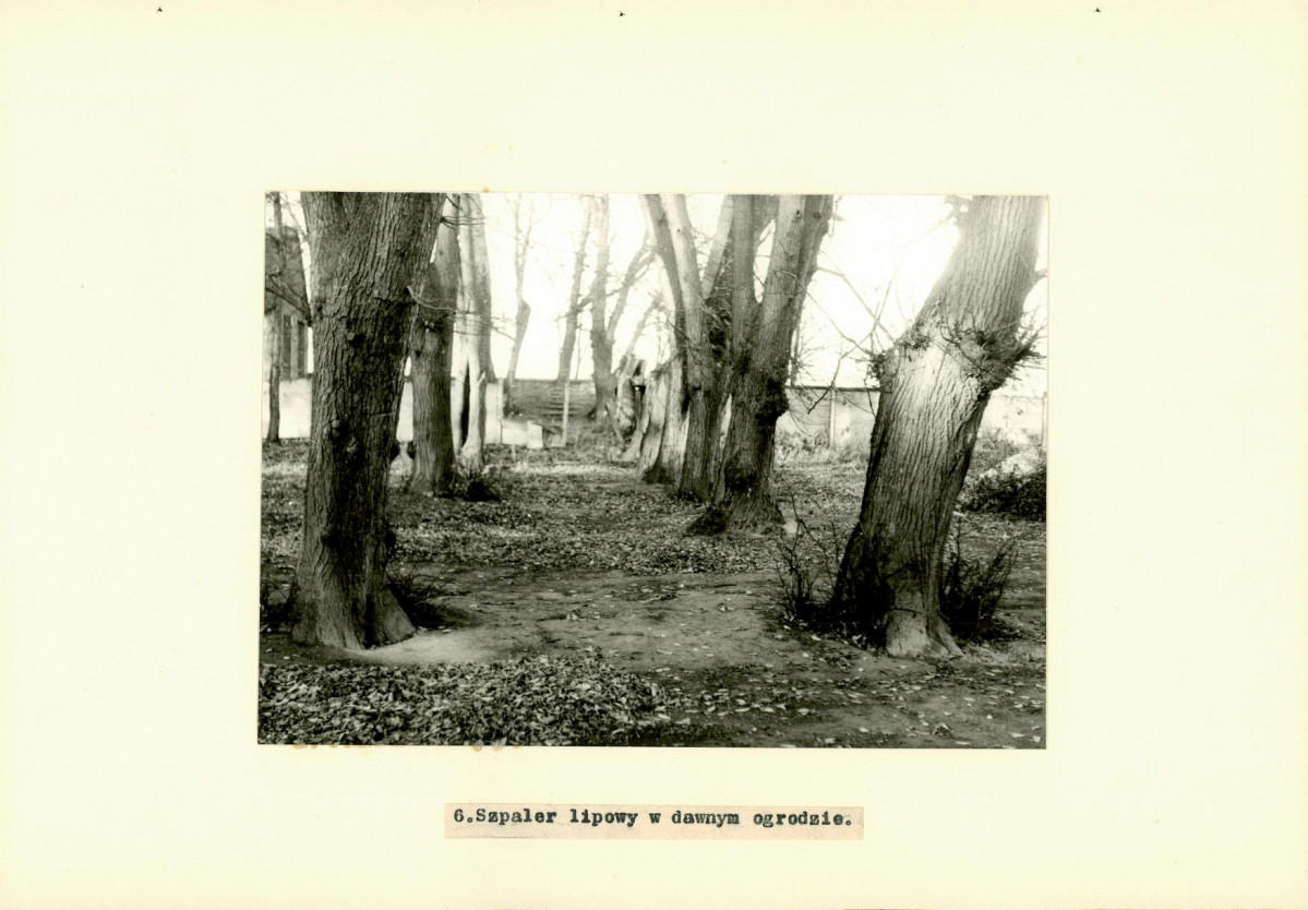 Ewidencja parkowa, skan nr 22