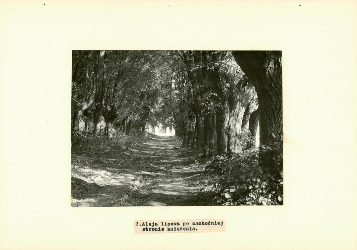 Ewidencja parkowa, skan nr 23