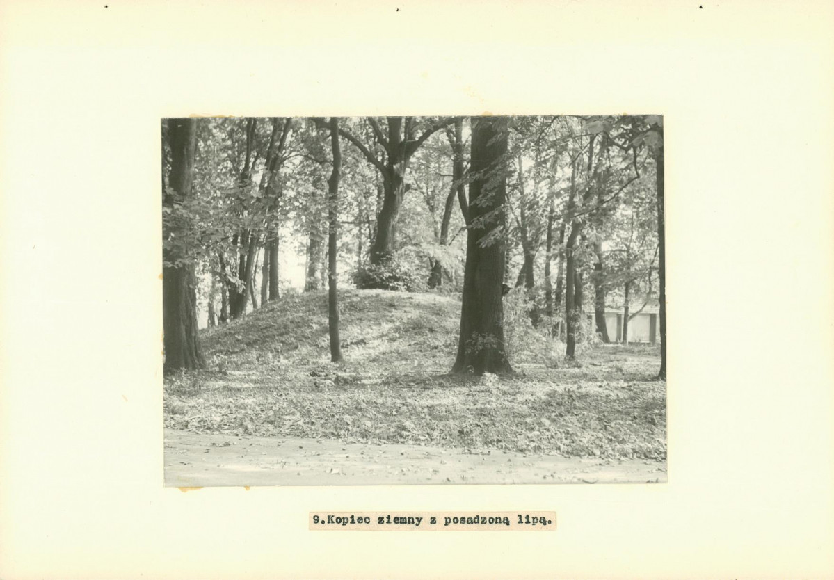 Ewidencja parkowa, skan nr 25