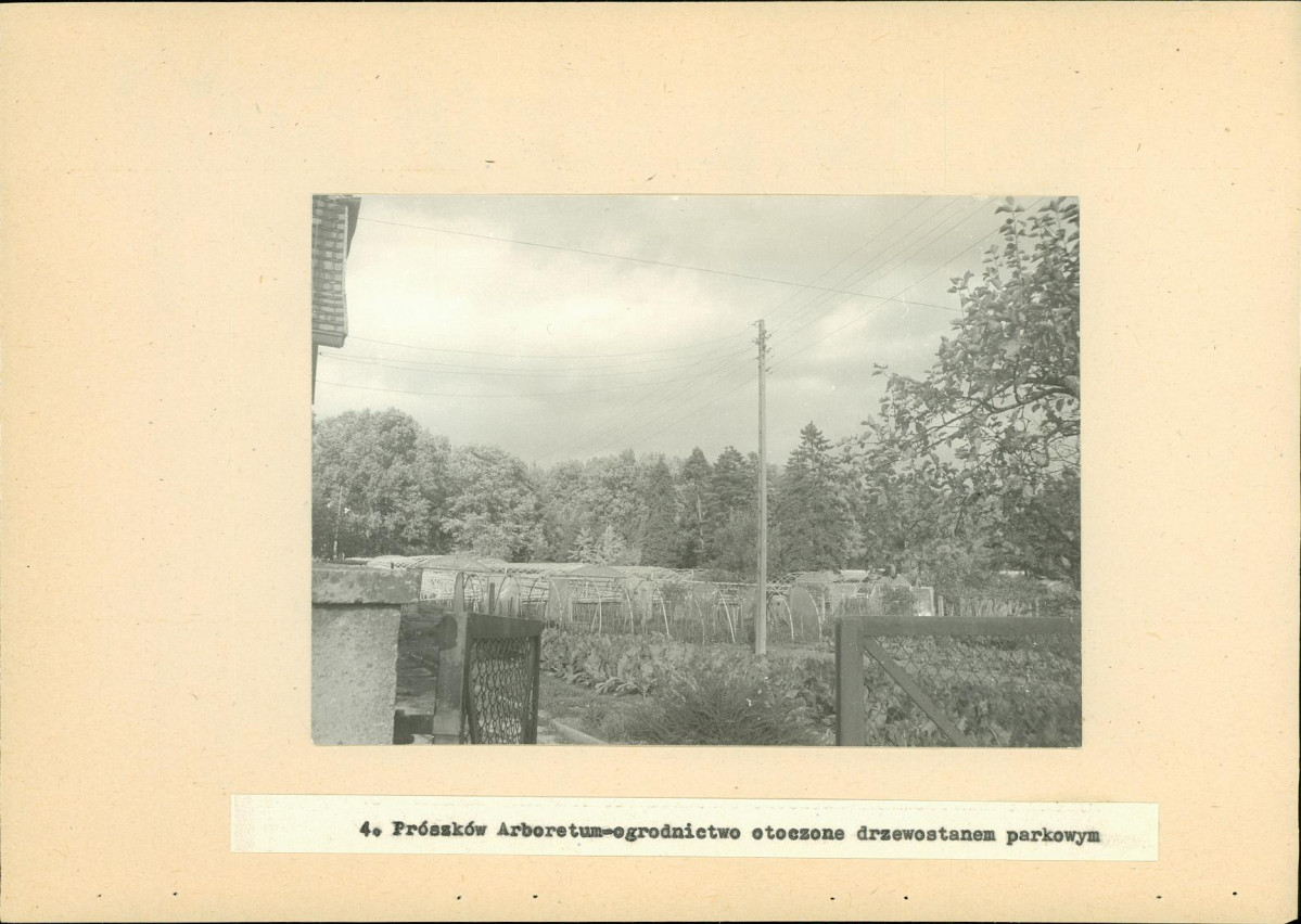 EP - Ewidencja parkowa, skan nr 29