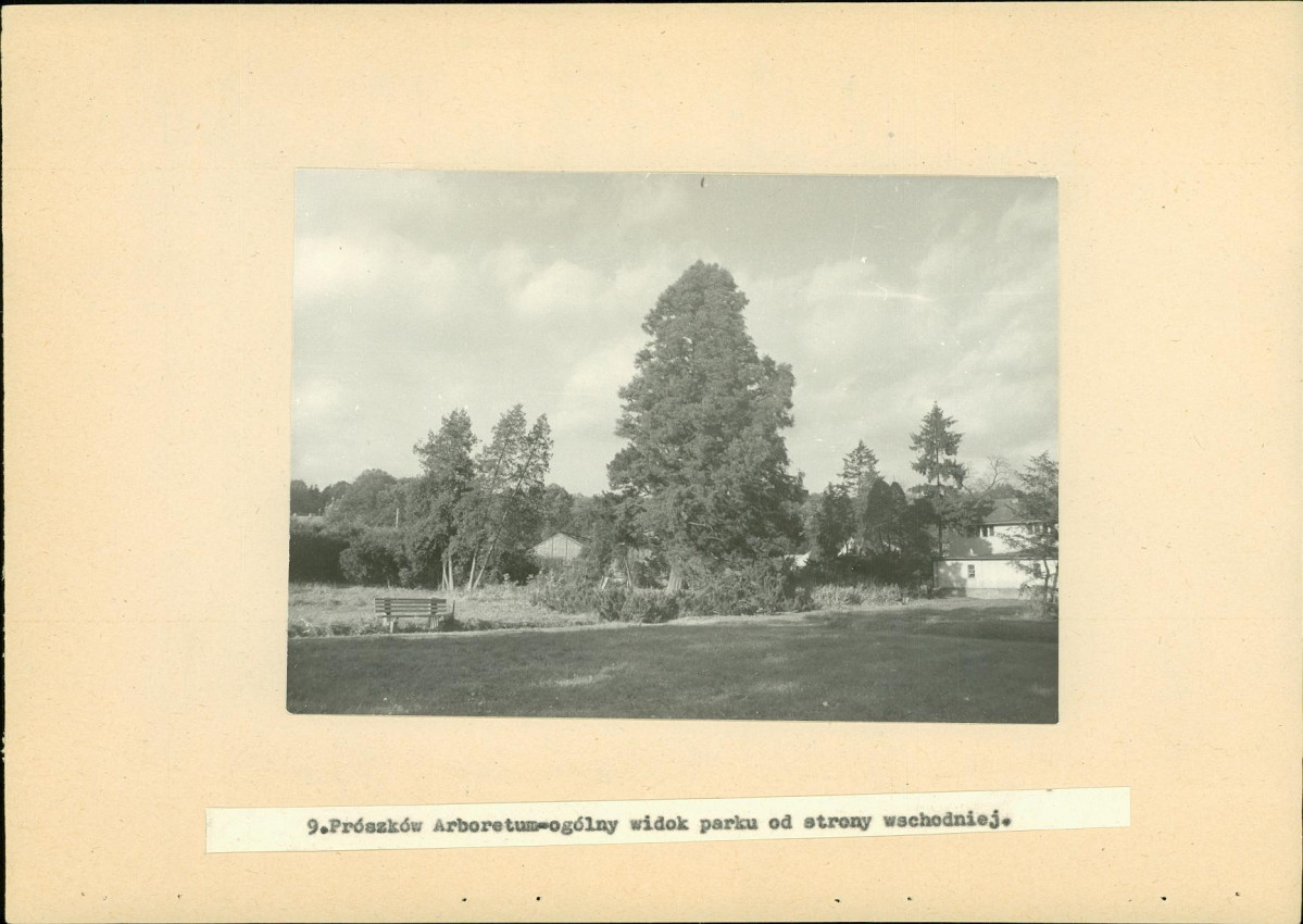 EP - Ewidencja parkowa, skan nr 34