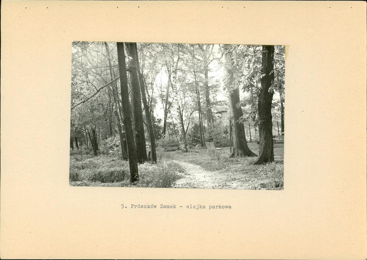 EP - Ewidencja parkowa, skan nr 27