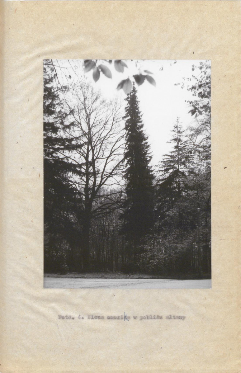 EP - Ewidencja parkowa, skan nr 33