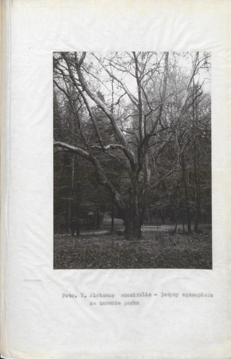 EP - Ewidencja parkowa, skan nr 35