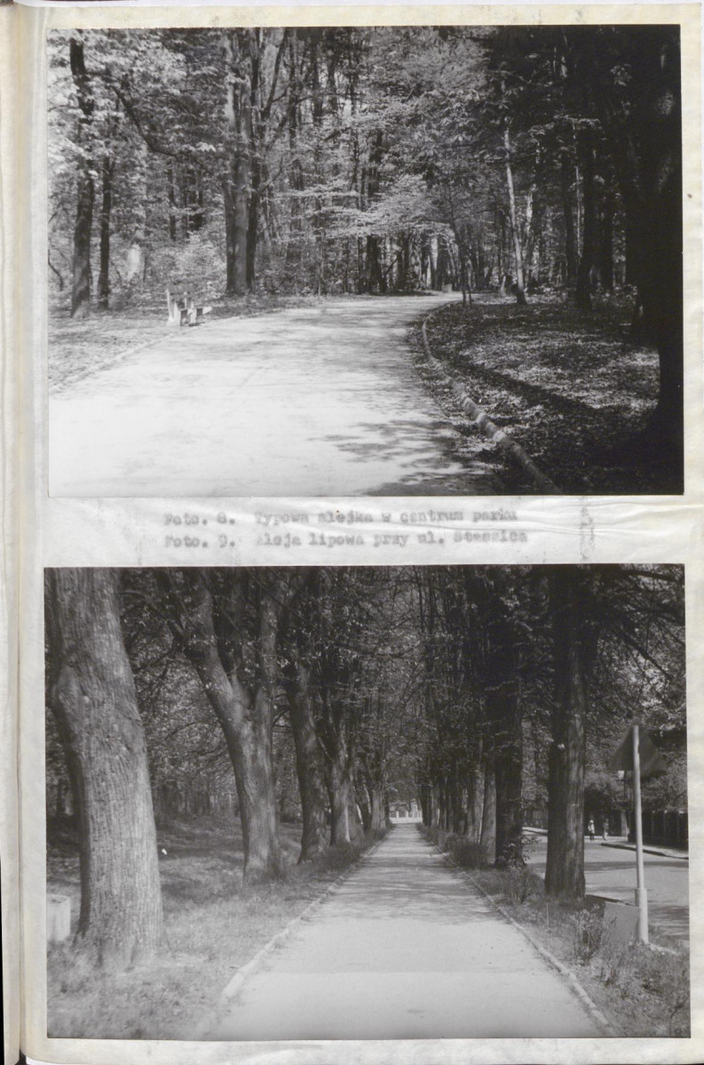 EP - Ewidencja parkowa, skan nr 36