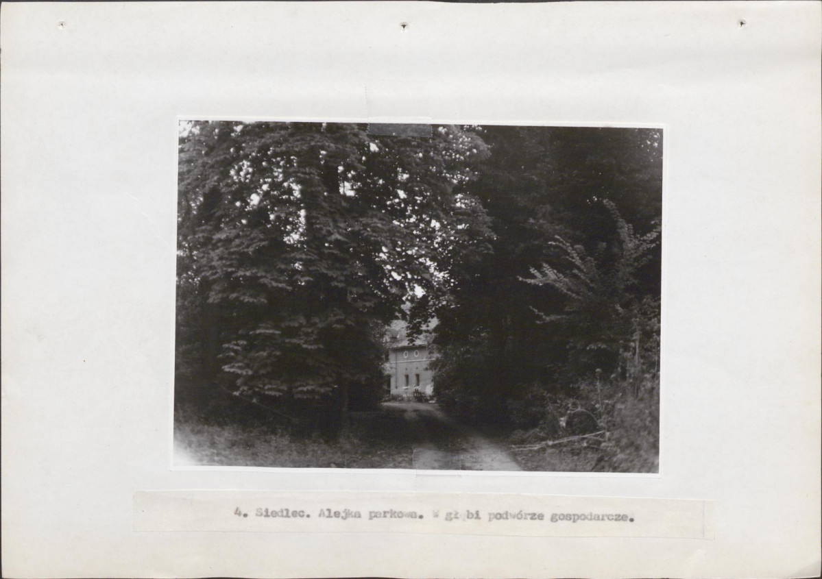 EP - Ewidencja parkowa, skan nr 23