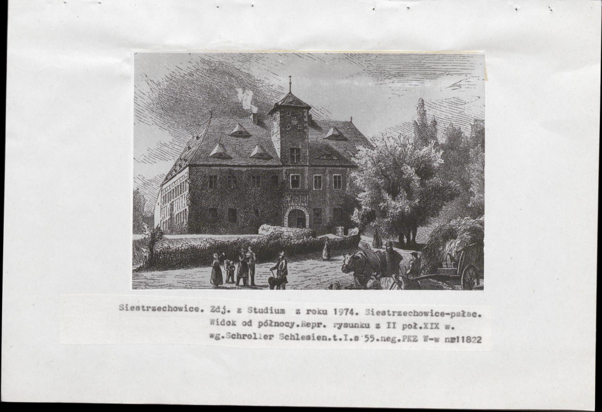 EP - Ewidencja parkowa, skan nr 20