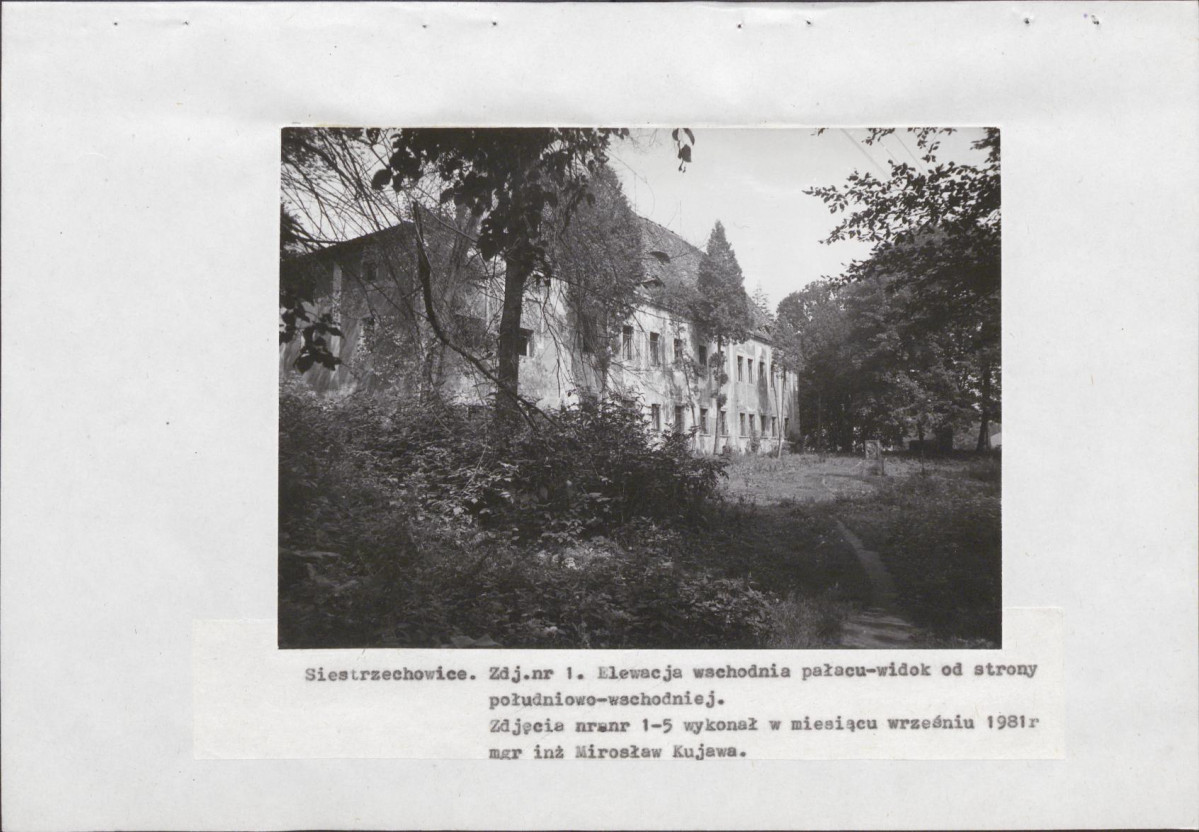 EP - Ewidencja parkowa, skan nr 21