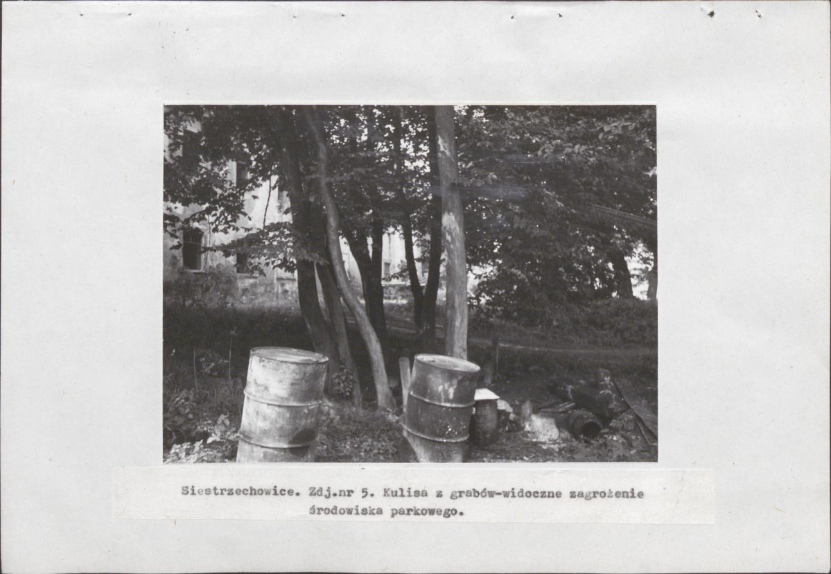 EP - Ewidencja parkowa, skan nr 25