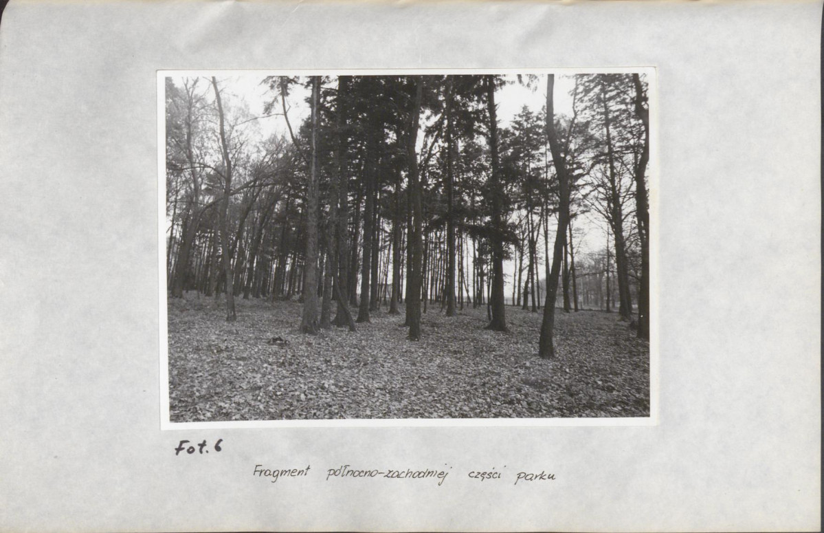 EP - Ewidencja parkowa, skan nr 24
