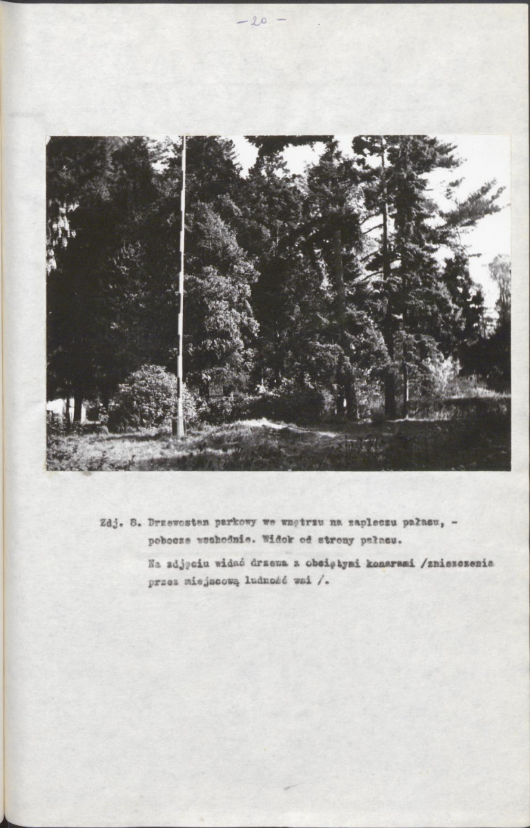 EP - Ewidencja parkowa, skan nr 26