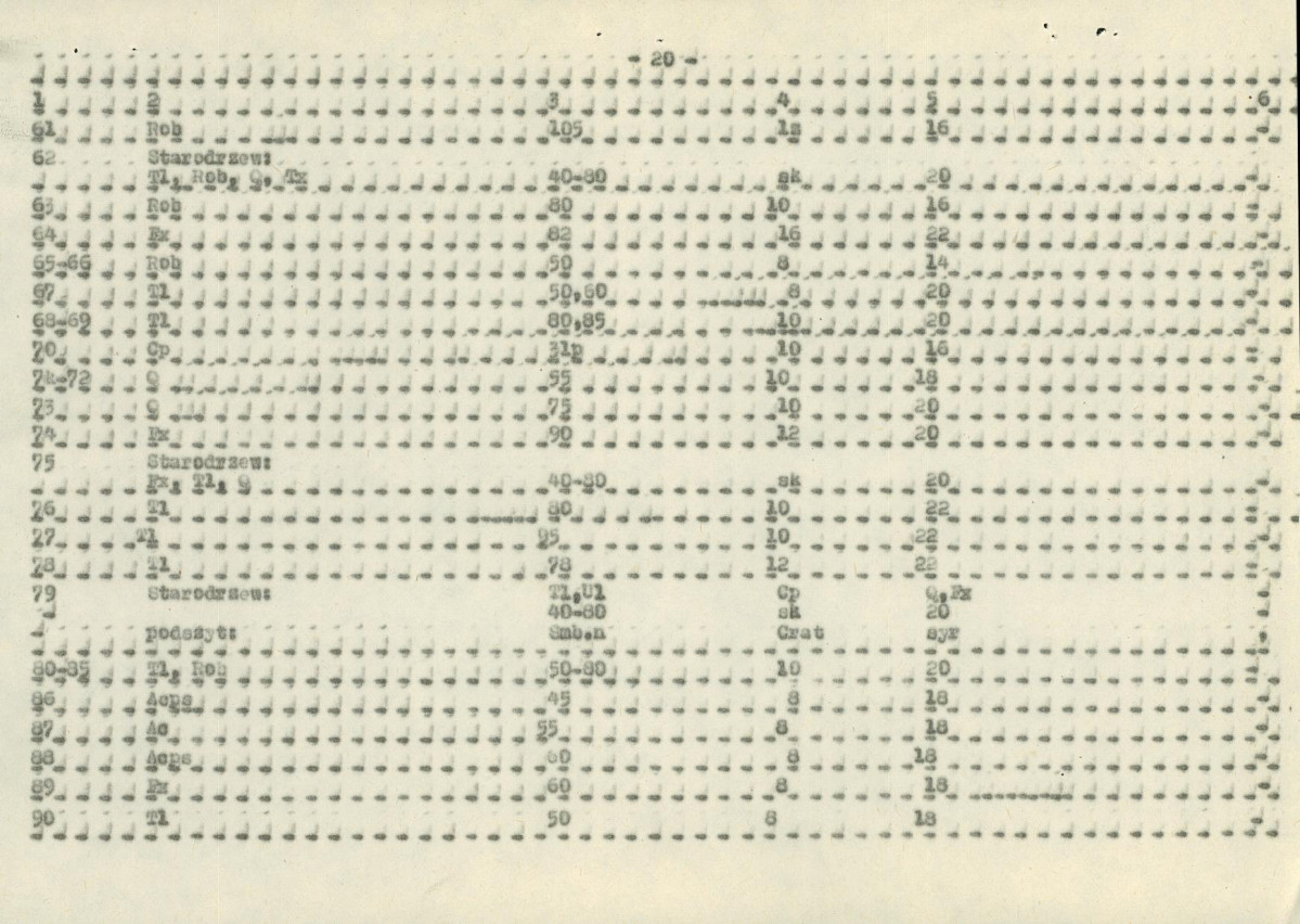 EP - Ewidencja parkowa, skan nr 31