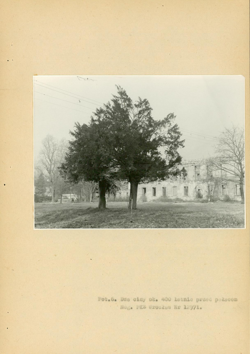 EP - Ewidencja parkowa, skan nr 58