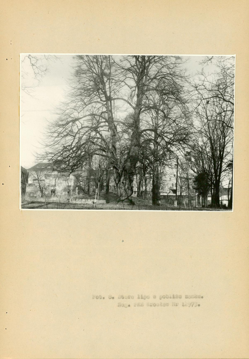 EP - Ewidencja parkowa, skan nr 60