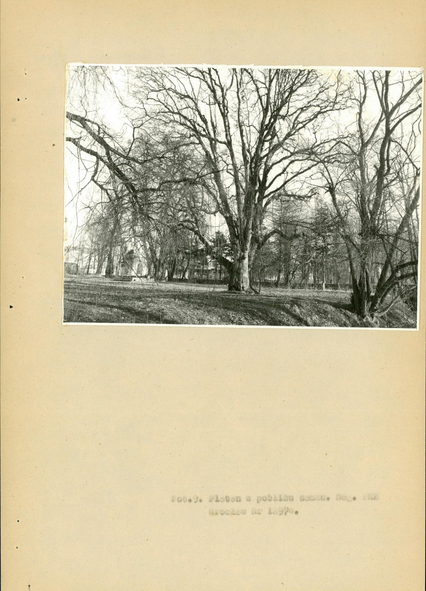 EP - Ewidencja parkowa, skan nr 61