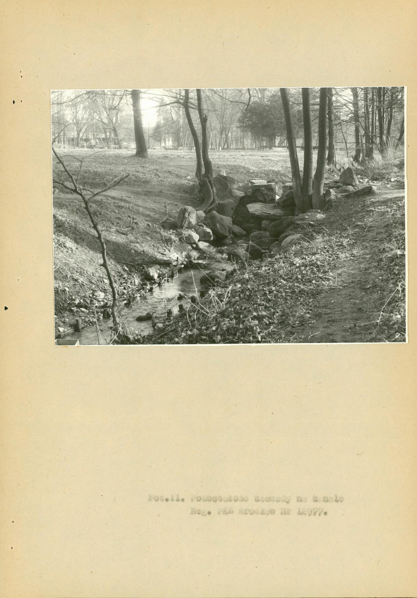 EP - Ewidencja parkowa, skan nr 63