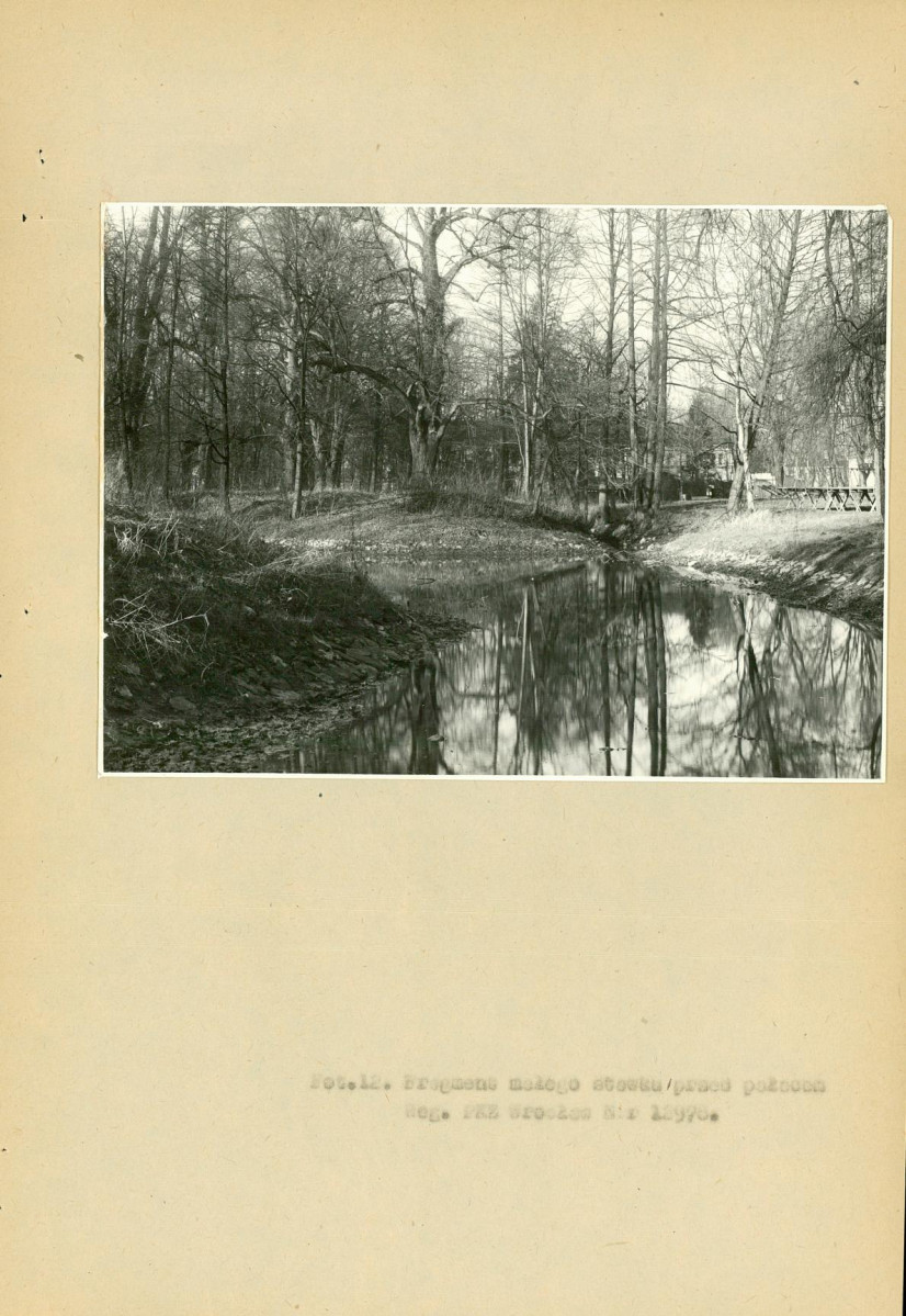 EP - Ewidencja parkowa, skan nr 64