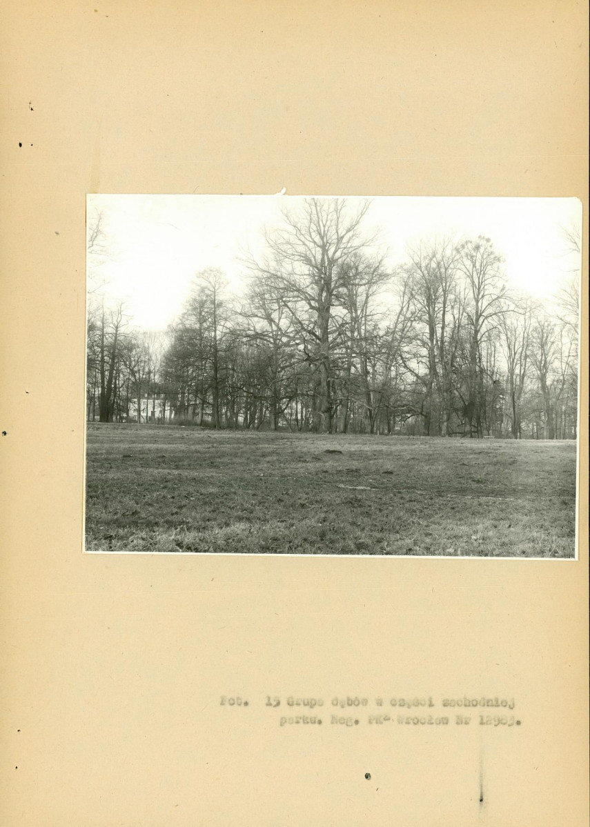 EP - Ewidencja parkowa, skan nr 67