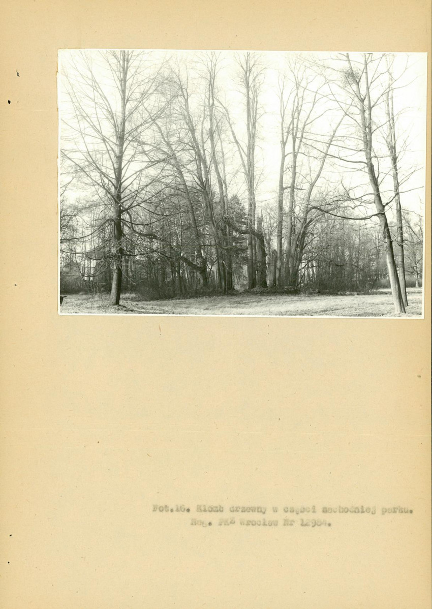 EP - Ewidencja parkowa, skan nr 68