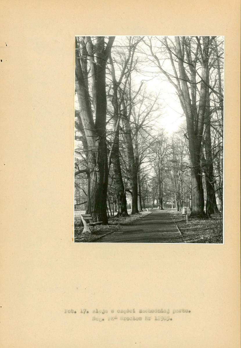 EP - Ewidencja parkowa, skan nr 69