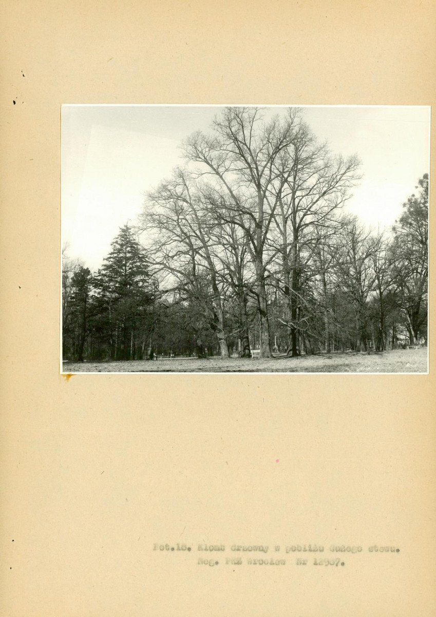 EP - Ewidencja parkowa, skan nr 70