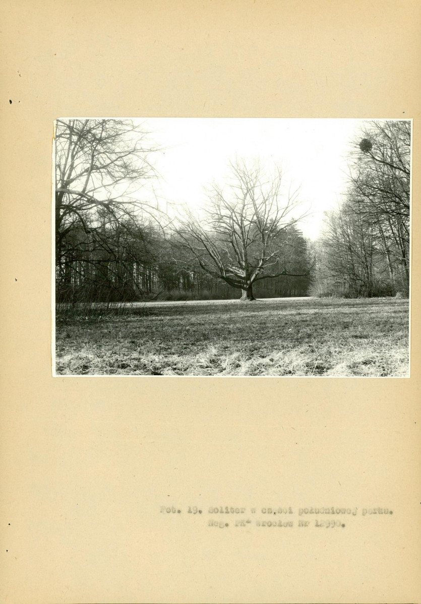 EP - Ewidencja parkowa, skan nr 71