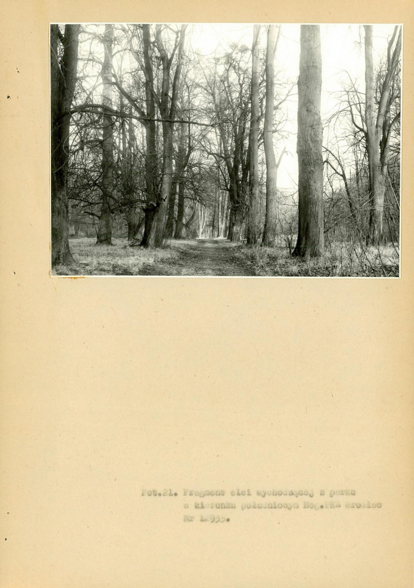 EP - Ewidencja parkowa, skan nr 73