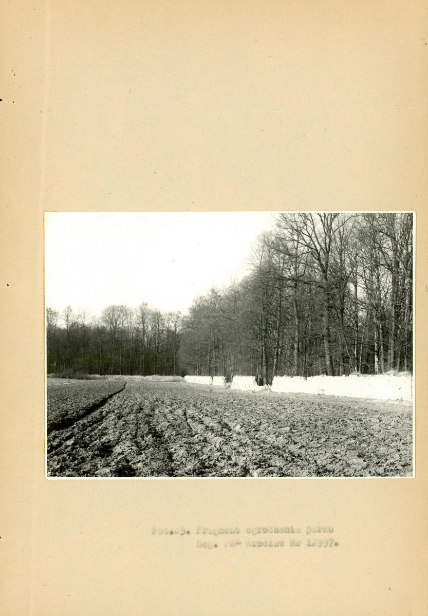 EP - Ewidencja parkowa, skan nr 77