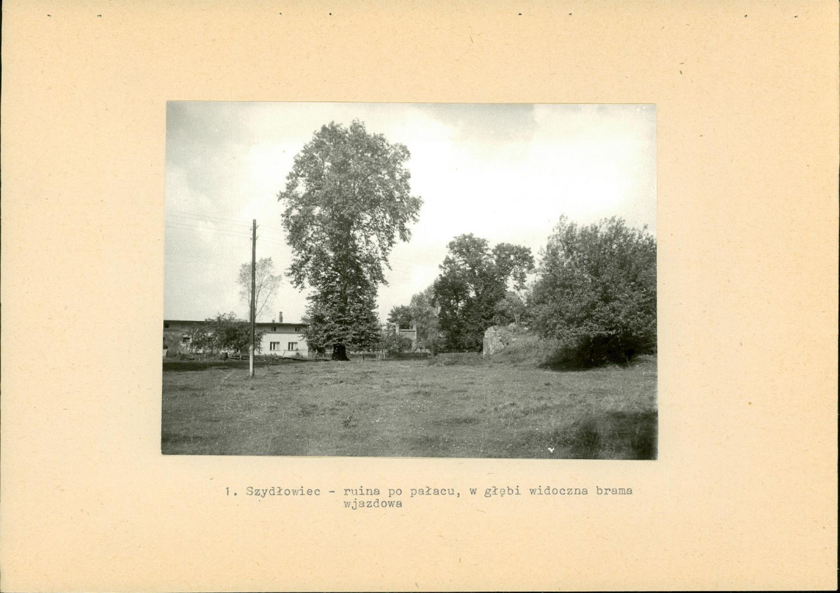 EP - Ewidencja parkowa, skan nr 22