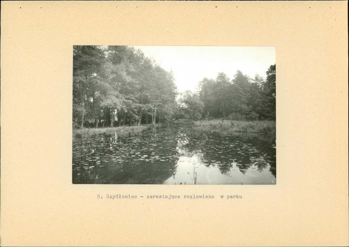 EP - Ewidencja parkowa, skan nr 26