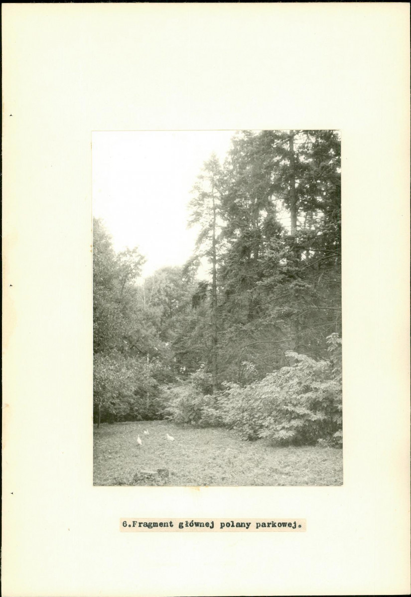 EP - Ewidencja parkowa, skan nr 21