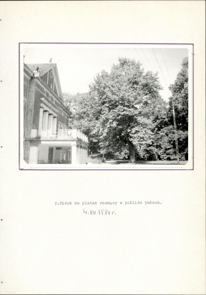 EP - Ewidencja parkowa, skan nr 21