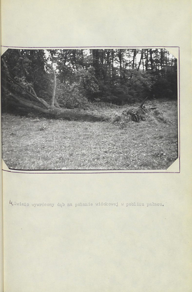 EP - Ewidencja parkowa, skan nr 29