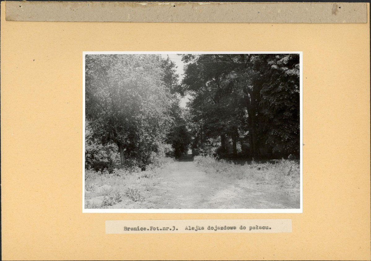 Ewidencja parkowa, skan nr 18