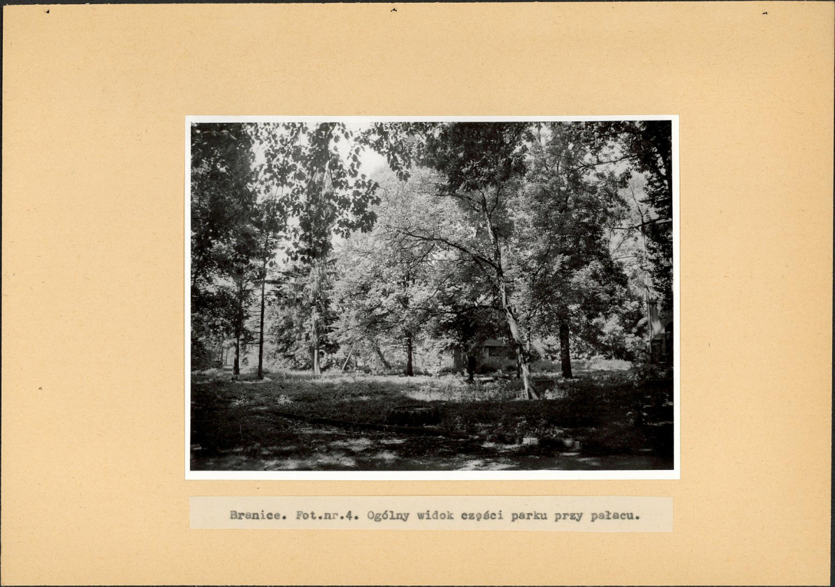 Ewidencja parkowa, skan nr 19