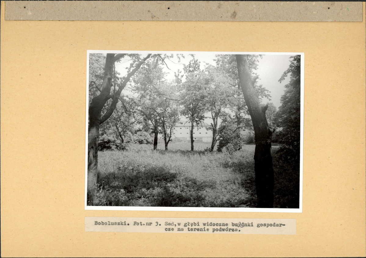 Ewidencja parkowa, skan nr 19