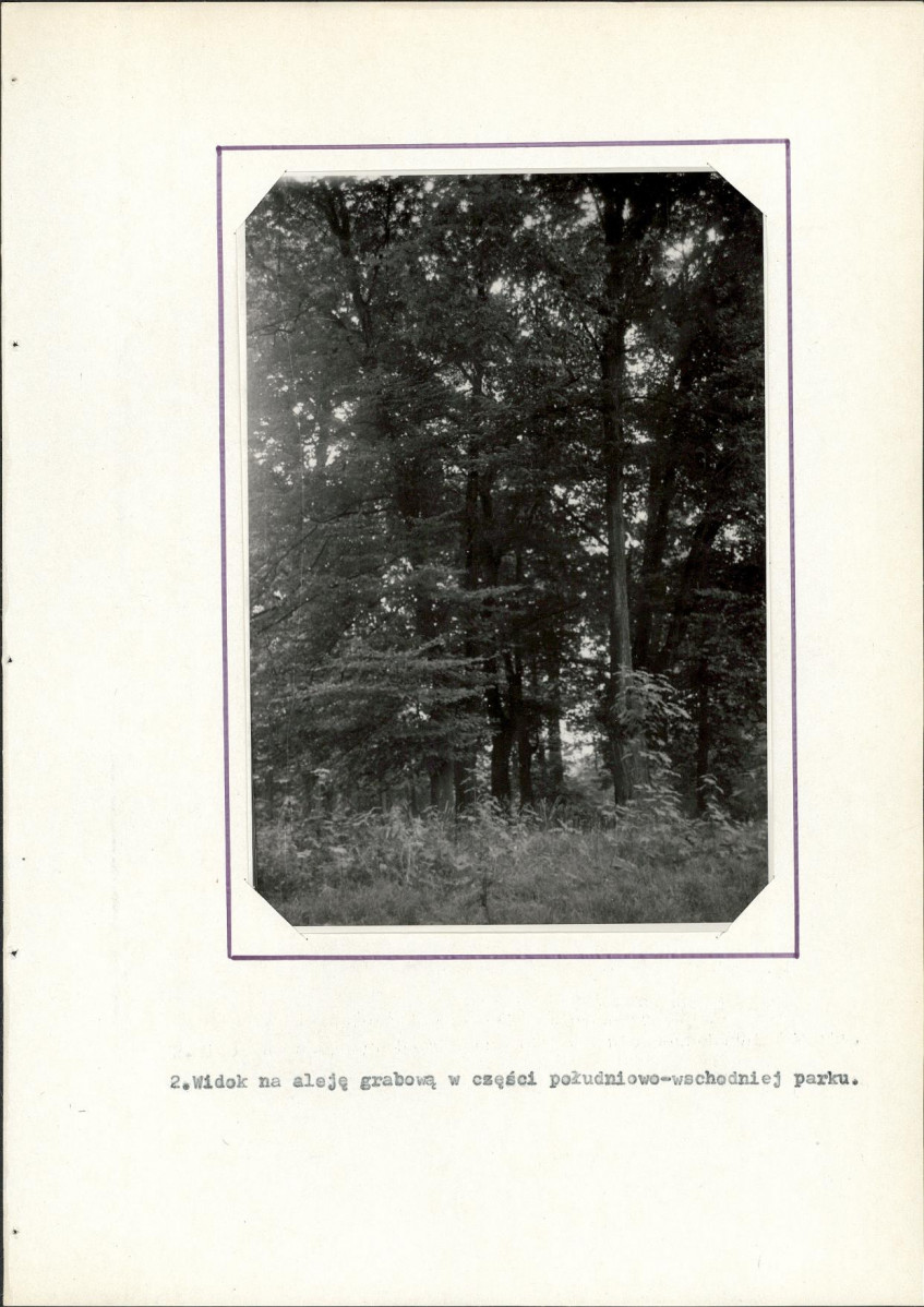 Ewidencja parkowa, skan nr 16