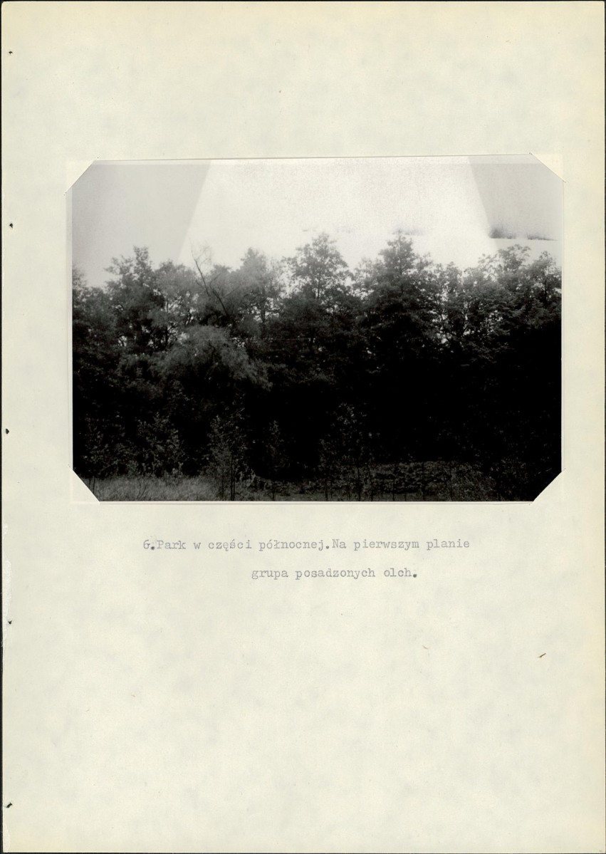 Ewidencja parkowa, skan nr 20