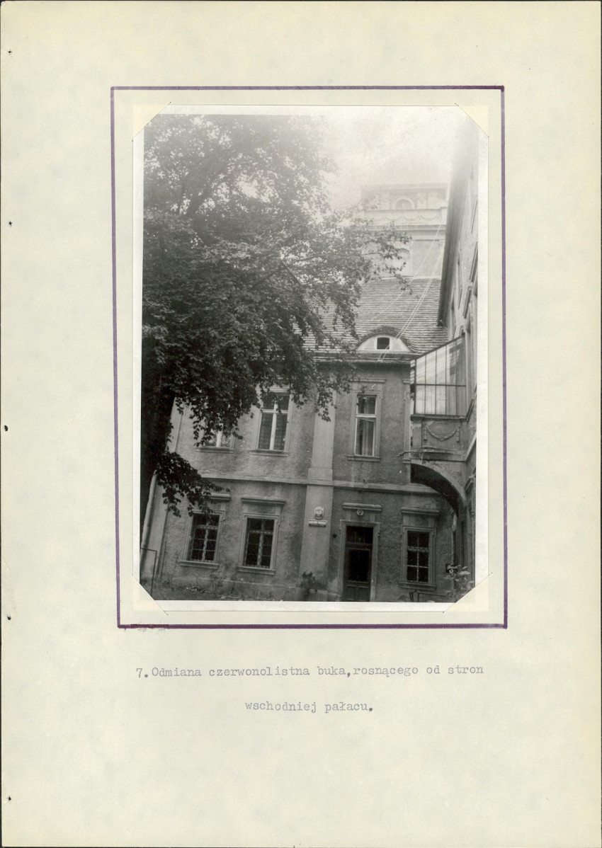 Ewidencja parkowa, skan nr 21