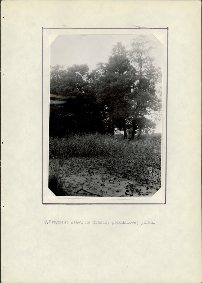 Ewidencja parkowa, skan nr 23